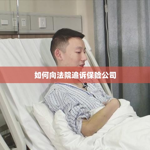 保险公司追诉指南,如何向法院提起诉讼索赔-图1 保险公司追诉指南,如何向法院提起诉讼索赔-图1