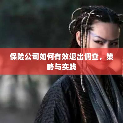保险公司有效退出调查的策略与实践探讨-图1