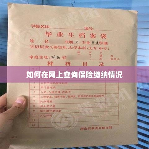 网上查询保险缴纳情况攻略-图1 网上查询保险缴纳情况攻略-图1