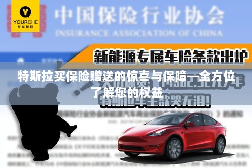 特斯拉保险购买惊喜与权益全方位解读,赠送的保障与惊喜-图1 特斯拉保险购买惊喜与权益全方位解读,赠送的保障与惊喜-图1