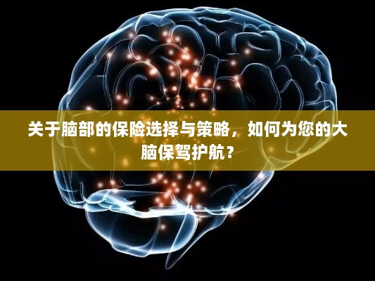 如何选择合适的脑部保险，为您的大脑保驾护航？-图1