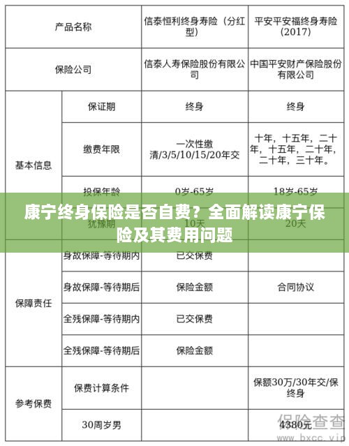 康宁终身保险是否需要自费？全面解析保险费用问题。-图1
