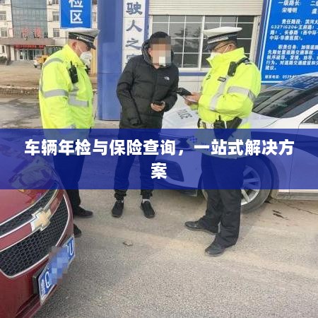 车辆年检与保险查询,一站式解决方案解析-图1 车辆年检与保险查询,一站式解决方案解析-图1