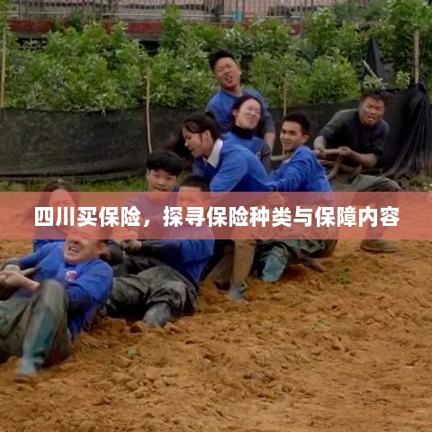 四川保险探秘，种类与保障内容全解析-图1