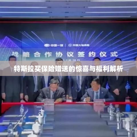 特斯拉保险赠品福利大解析,惊喜与优惠一网打尽!-图1 特斯拉保险赠品福利大解析,惊喜与优惠一网打尽!-图1