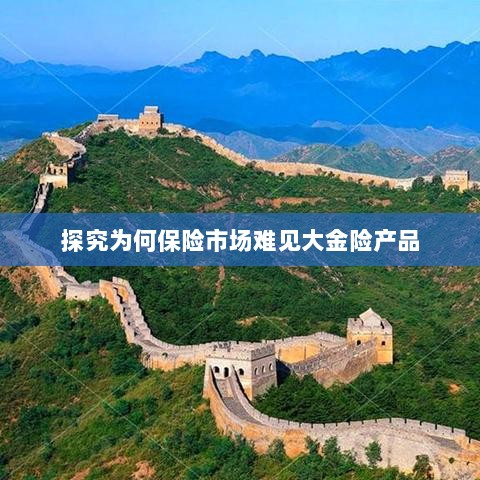 大金险产品在保险市场的稀缺原因探究-图1 大金险产品在保险市场的稀缺原因探究-图1
