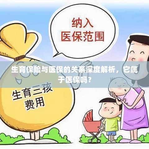 生育保险与医保关系深度解析,是否属于医保范畴?-图1 生育保险与医保关系深度解析,是否属于医保范畴?-图1