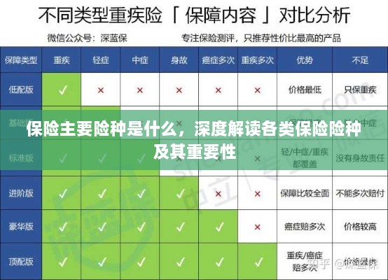 深度解析,保险主要险种及其重要性介绍-图1 深度解析,保险主要险种及其重要性介绍-图1