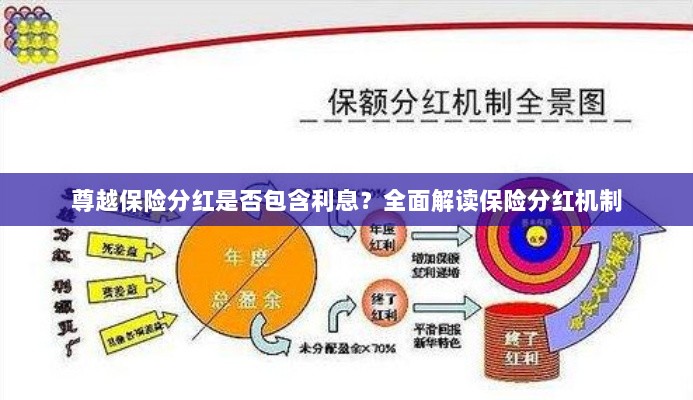 尊越保险分红机制详解,是否包含利息?全面解读保险分红情况。-图1 尊越保险分红机制详解,是否包含利息?全面解读保险分红情况。-图1