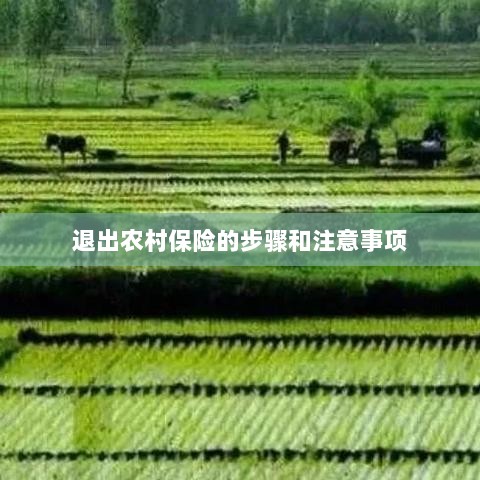 退出农村保险的步骤及注意事项详解-图1