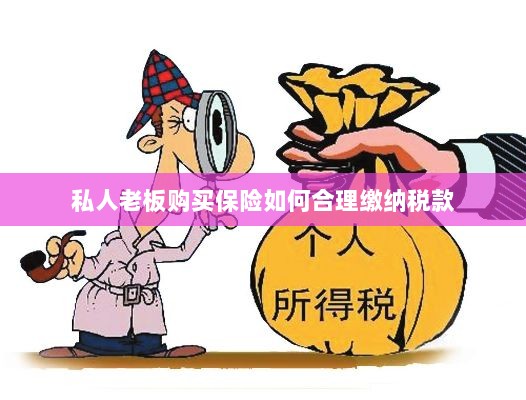 私人老板购买保险如何合理缴税,策略与指南-图1 私人老板购买保险如何合理缴税,策略与指南-图1