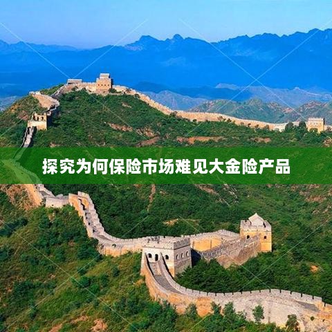 大金险产品在保险市场的稀缺原因探究-图1 大金险产品在保险市场的稀缺原因探究-图1