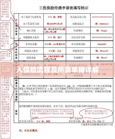 保险投保流程与所需单据全面解析-图1 保险投保流程与所需单据全面解析-图1