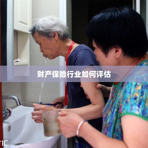 财产保险行业评估方法与策略解析-图1 财产保险行业评估方法与策略解析-图1