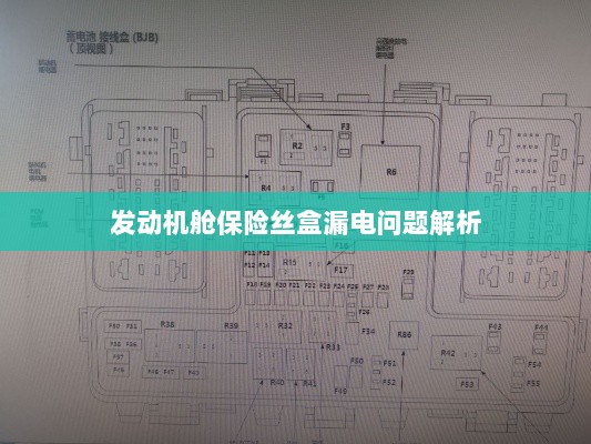 发动机舱保险丝盒漏电问题深度解析-图1