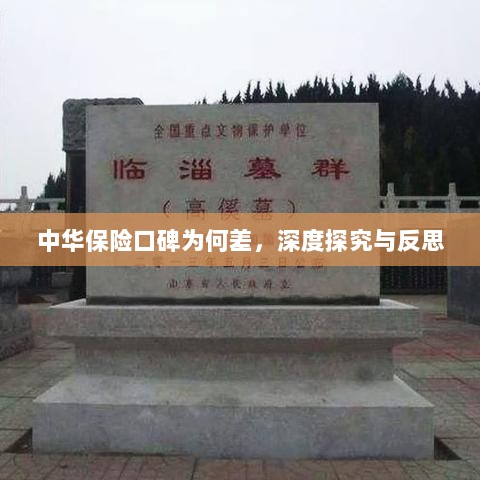 中华保险口碑深度探究与反思，原因何在？-图1