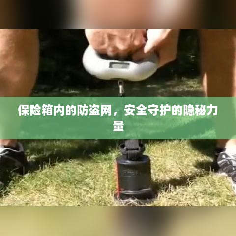 保险箱内防盗网，守护安全的隐秘力量-图1