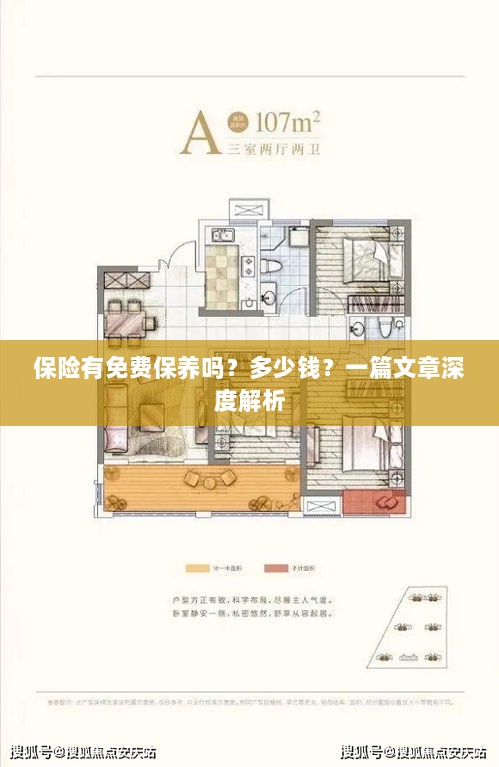 保险免费保养揭秘，费用及深度解析-图1