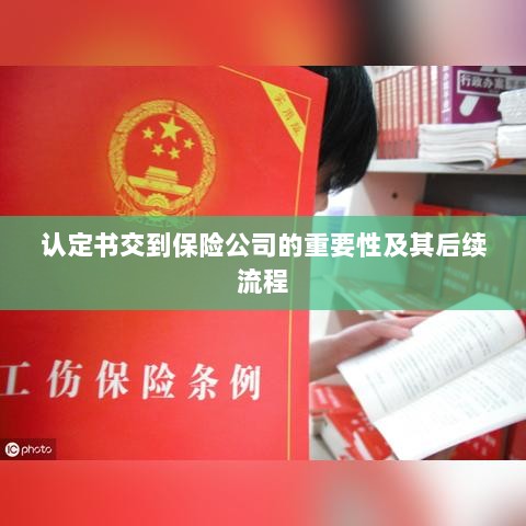 认定书对保险公司的重要性及后续流程详解-图1