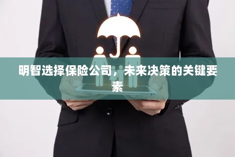 明智选择保险公司，未来决策的关键要素概览-图1