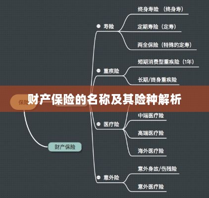 财产保险名称及险种深度解析-图1 财产保险名称及险种深度解析-图1