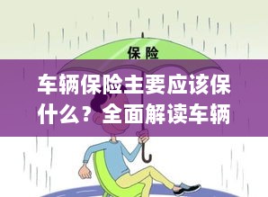 全面解读，车辆保险保障要点及内容-图1