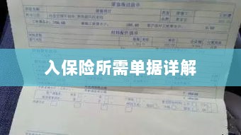 入保险必备单据解析-图1