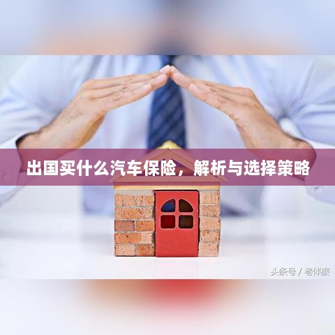 出国购车保险指南，解析与选择策略-图1