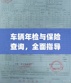 车辆年检与保险查询操作指南,全面指导与详解-图1 车辆年检与保险查询操作指南,全面指导与详解-图1