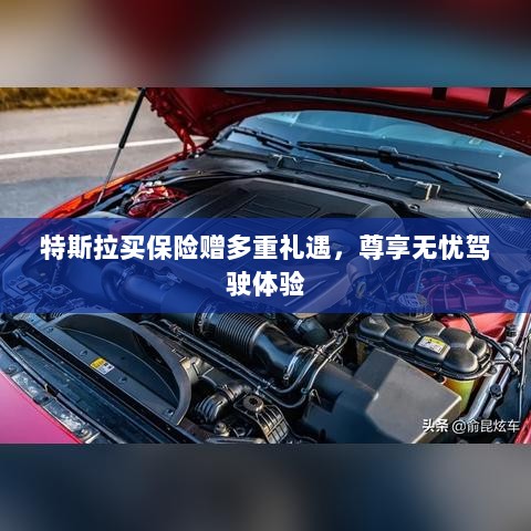 特斯拉保险购买多重礼遇，无忧驾驶尊贵体验-图1