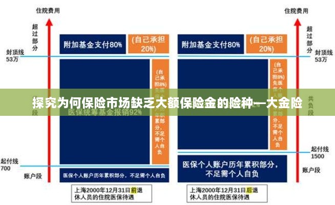 探究保险市场大额保险金险种缺失现象，大金险的缺失原因探究-图1