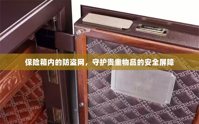保险箱内防盗网，守护贵重物品的安全卫士-图1