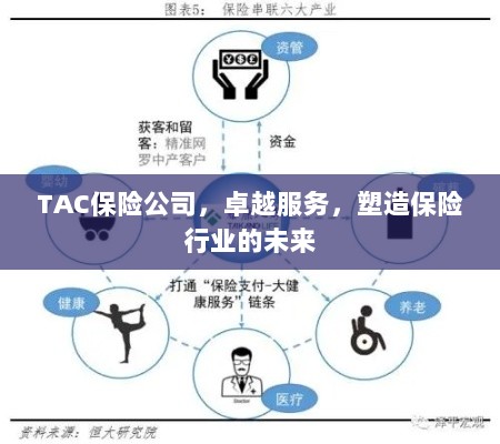 TAC保险公司，卓越服务引领，塑造保险行业未来之路-图1