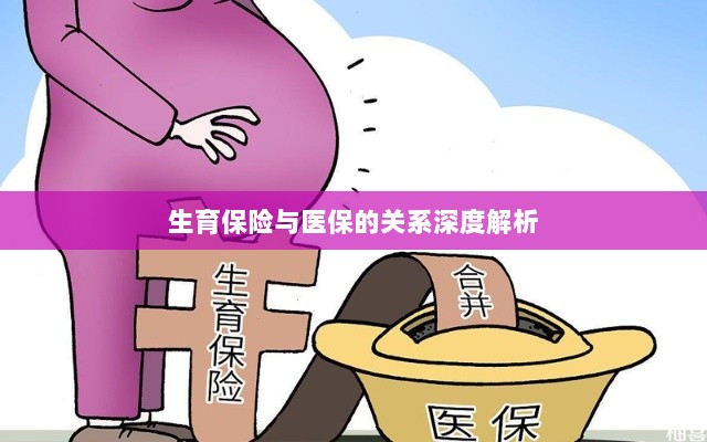 生育保险与医保关系的深度探讨-图1
