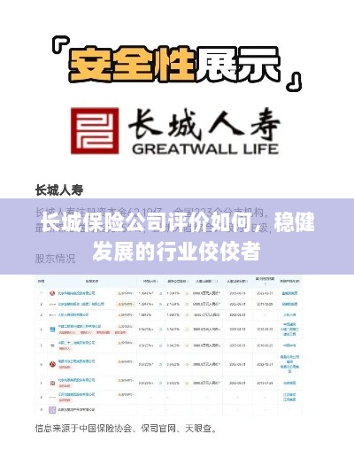 长城保险公司评价积极，行业稳健发展的佼佼者-图1