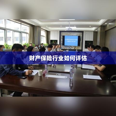 财产保险行业评估方法与策略解析-图1 财产保险行业评估方法与策略解析-图1