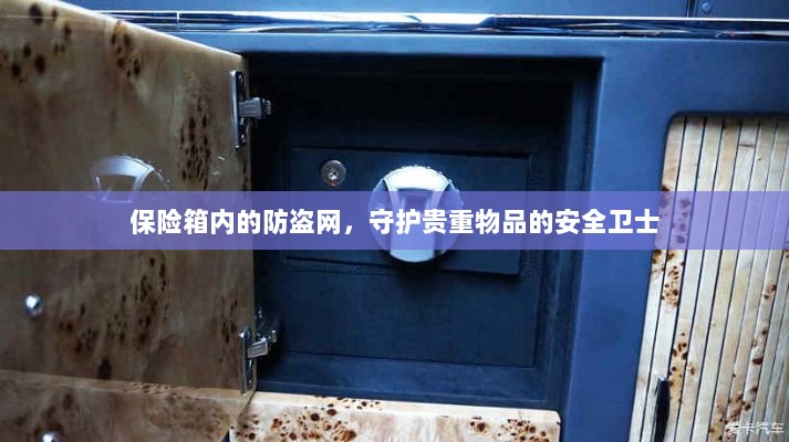 保险箱内防盗网,守护贵重物品的安全屏障-图1 保险箱内防盗网,守护贵重物品的安全屏障-图1