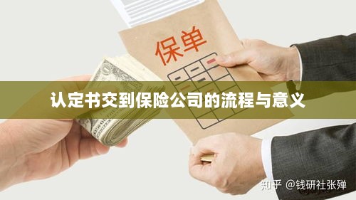 认定书交到保险公司的流程及其意义解析-图1 认定书交到保险公司的流程及其意义解析-图1