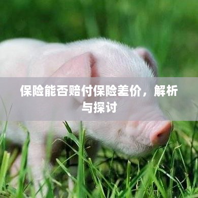 保险能否赔付保险差价,深度解析与探讨-图1 保险能否赔付保险差价,深度解析与探讨-图1