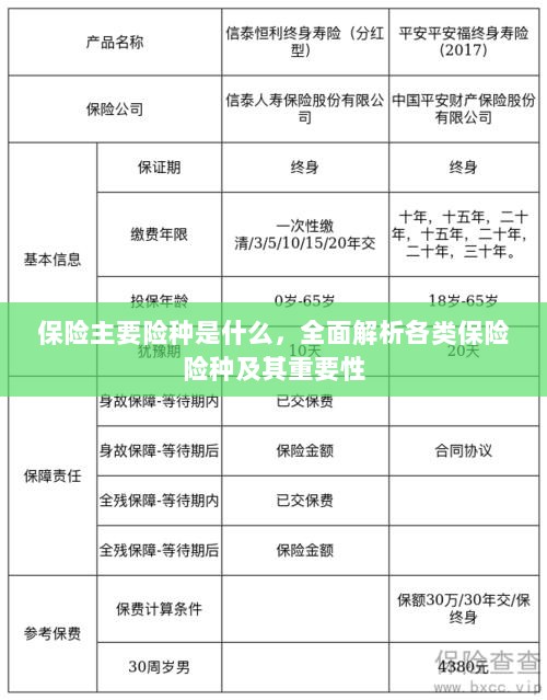 全面解析保险主要险种及其重要性介绍-图1