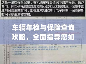 车辆年检与保险查询攻略,全面指导如何查车子年检保险信息-图1 车辆年检与保险查询攻略,全面指导如何查车子年检保险信息-图1