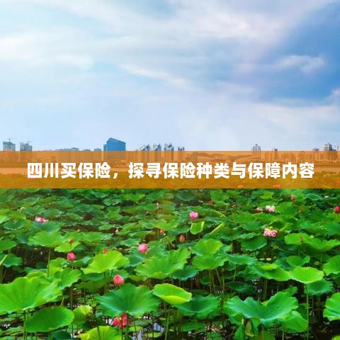 四川保险探秘,种类与保障内容全解析-图1 四川保险探秘,种类与保障内容全解析-图1