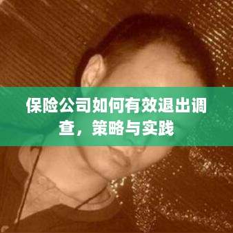 保险公司有效退出调查的策略与实践探讨-图1