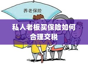 私人老板如何合理购买保险并交税指南-图1 私人老板如何合理购买保险并交税指南-图1