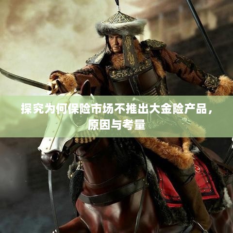 探究保险市场未推出大金险产品的原因与考量-图1