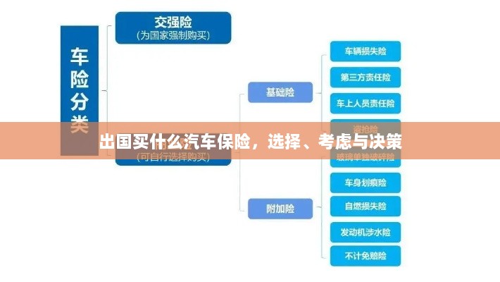 出国购车保险指南,选择、考虑与决策要素-图1 出国购车保险指南,选择、考虑与决策要素-图1