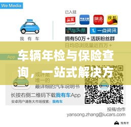 车辆年检与保险查询，一站式解决方案解析-图1