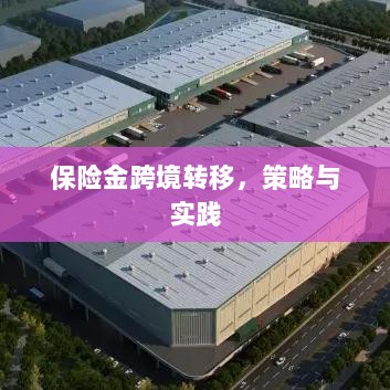 保险金跨境转移的策略与实践探讨-图1 保险金跨境转移的策略与实践探讨-图1