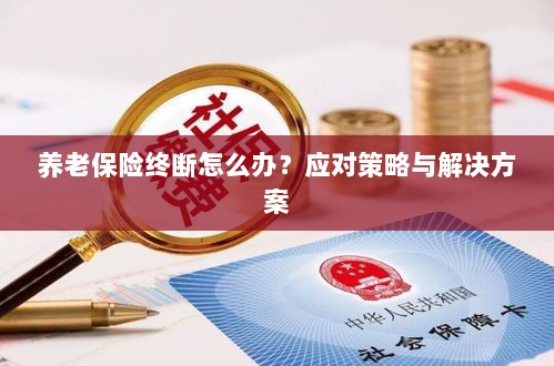 养老保险中断应对指南,解决方案与策略探讨-图1 养老保险中断应对指南,解决方案与策略探讨-图1