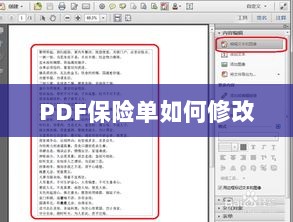 PDF保险单修改指南-图1 PDF保险单修改指南-图1